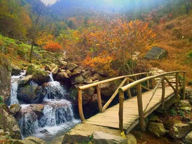 抽得还挺杂!大连海关查获旅客未申报香烟69条